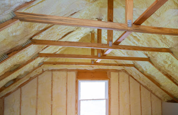 Best Geographic-Specific Insulation Services in Edisto, SC