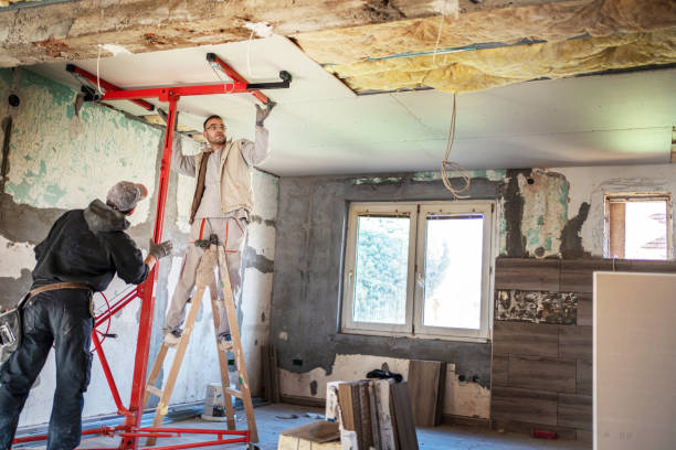 Best Specialized Insulation Services in Edisto, SC