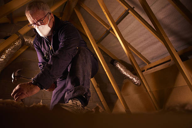 Best Blown-in Insulation in Edisto, SC